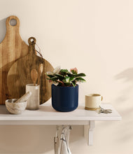 Load image into Gallery viewer, Twilight Blue
