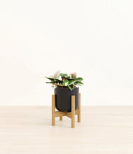 Load image into Gallery viewer, Stone Black stand:bamboo
