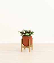 Load image into Gallery viewer, Glossy Red stand:bamboo

