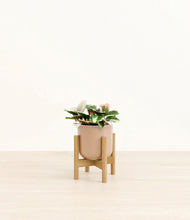 Load image into Gallery viewer, Glossy Pink stand:bamboo
