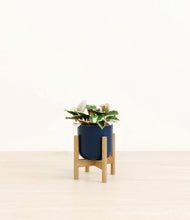 Load image into Gallery viewer, Twilight Blue stand:bamboo
