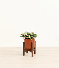 Load image into Gallery viewer, Glossy Red stand:walnut
