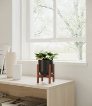 Load image into Gallery viewer, Stone Black stand:walnut
