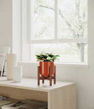 Load image into Gallery viewer, Glossy Red stand:walnut
