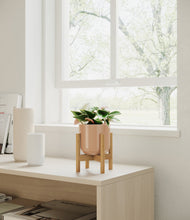 Load image into Gallery viewer, Glossy Pink stand:bamboo

