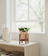 Load image into Gallery viewer, Glossy Pink stand:walnut
