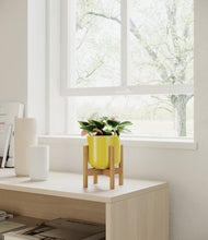 Load image into Gallery viewer, Key Lime Yellow stand:bamboo
