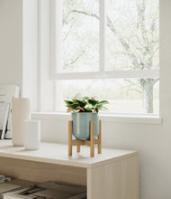 Load image into Gallery viewer, Reactive Aqua stand:bamboo
