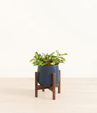Load image into Gallery viewer, Deep Navy stand:walnut
