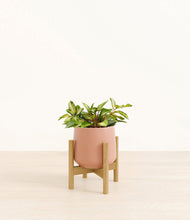 Load image into Gallery viewer, Calm Rose stand:bamboo
