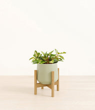 Load image into Gallery viewer, Turquoise stand:bamboo

