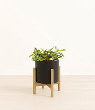 Load image into Gallery viewer, Black stand:bamboo
