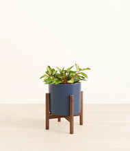Load image into Gallery viewer, Deep Navy stand:walnut
