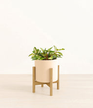 Load image into Gallery viewer, Cream stand:bamboo
