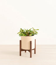 Load image into Gallery viewer, Cream stand:walnut
