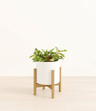 Load image into Gallery viewer, White stand:bamboo
