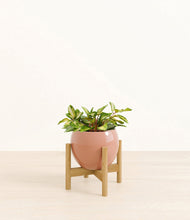 Load image into Gallery viewer, Calm Rose stand:bamboo
