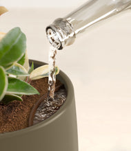 Load image into Gallery viewer, Olive stand:all

