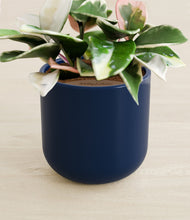 Load image into Gallery viewer, Twilight Blue stand:all
