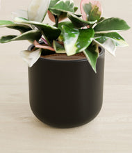 Load image into Gallery viewer, Stone Black stand:all
