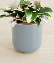 Load image into Gallery viewer, Misty Blue stand:all
