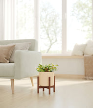 Load image into Gallery viewer, Cream stand:walnut
