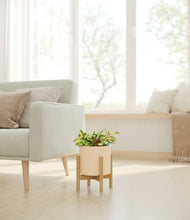 Load image into Gallery viewer, Cream stand:bamboo
