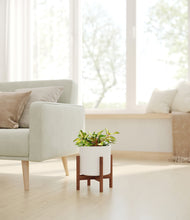 Load image into Gallery viewer, White stand:walnut

