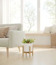 Load image into Gallery viewer, White stand:bamboo
