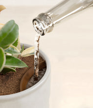 Load image into Gallery viewer, Hammered Ivory stand:all
