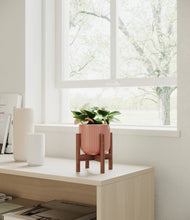 Load image into Gallery viewer, Striped Rose Pink stand:walnut
