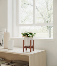 Load image into Gallery viewer, Snowdrift White stand:walnut
