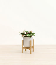 Load image into Gallery viewer, Snowdrift White stand:bamboo
