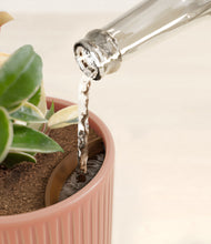 Load image into Gallery viewer, Striped Rose Pink stand:all
