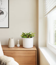 Load image into Gallery viewer, White
