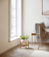Load image into Gallery viewer, Shiny EggWhite stand:bamboo
