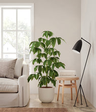 Load image into Gallery viewer, Natural Bamboo
