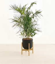Load image into Gallery viewer, Stone Black stand:bamboo
