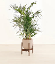 Load image into Gallery viewer, Sandy Pink stand:walnut
