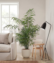Lade das Bild in den Galerie-Viewer, Natural Bamboo
