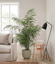 Lade das Bild in den Galerie-Viewer, Sage Green
