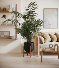 Lade das Bild in den Galerie-Viewer, Stone Black stand:walnut

