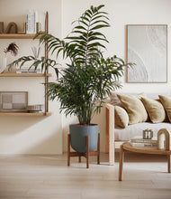 Lade das Bild in den Galerie-Viewer, Iron Gray stand:walnut
