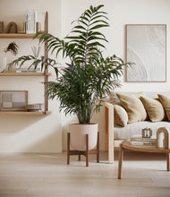 Lade das Bild in den Galerie-Viewer, Sandy Pink stand:walnut
