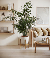 Lade das Bild in den Galerie-Viewer, Natural Bamboo stand:bamboo
