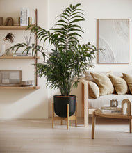 Lade das Bild in den Galerie-Viewer, Stone Black stand:bamboo
