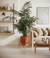 Lade das Bild in den Galerie-Viewer, Earth Red stand:bamboo
