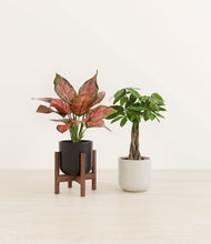 Load image into Gallery viewer, Orca stand:one_stand
