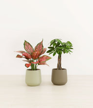 Load image into Gallery viewer, Woodland Hues*****Profile
