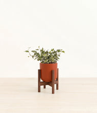 Load image into Gallery viewer, Earth Red stand:dark
